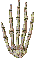 skeletonhand